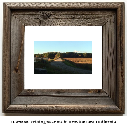 horseback riding near me in Oroville East, California